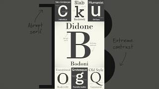 Discover the Timeless Elegance of Didoni Fonts [upl. by Asoj268]