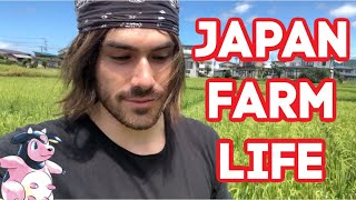 LIVING ON A FARM IN NORTHERN JAPAN ft pokemon [upl. by Ariam]