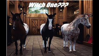 Training Appaloosas  Star Stable Online  Part 21 [upl. by Ashlen871]