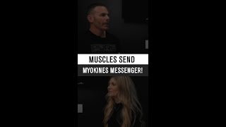 Muscles send myokines messenger strongandhealthy musclepower myokines [upl. by Armat82]