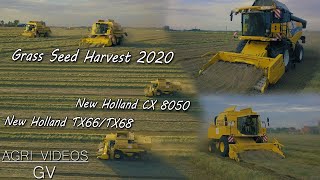 Grass Seed Harvest 2020  New Holland CX8050  New Holland TX66  NH TX 68  4K [upl. by Nabila572]