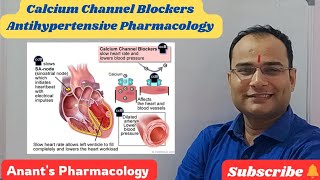 Calcium channel blockers [upl. by Aleakam]