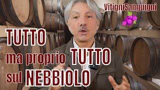 VitigniSanguigni OGGI VI RACCONTO TUTTO SUL NEBBIOLO [upl. by Gambell]