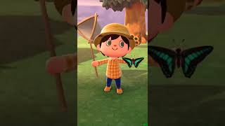 Animal Crossing New and Old 22 animalcrossing animalcrossingnewhorizons nintendoswitch [upl. by Aicats54]