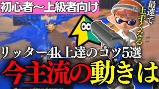 リッター4kで上達するために『意識すべきコツ5選』教えます。【初心者必見】【スプラトゥーン3Splatoon3】 [upl. by Gniy644]