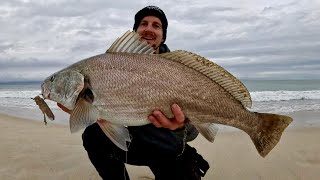 Beach Fishing Mulloway WHY didn’t I try this Rig sooner [upl. by Ettevets]