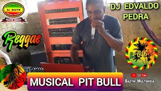 🇬🇳 🇯🇲 MUSICAL PIT BUL DJ EDVALDO PEDRA e Adiel Gregory melo de menina [upl. by Ileak]