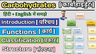 Carbohydrates in hindi  Classification of Carbohydrates  Monosaccharide  Disaccharide  Glucose [upl. by Sugirdor825]