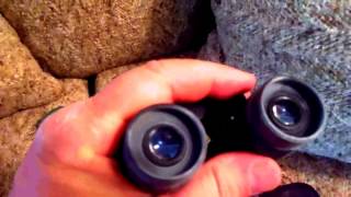 Best LowCost Binoculars vs Night Vision [upl. by Nanor]