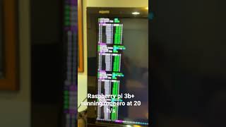 Raspberry pi running monero [upl. by Naves]