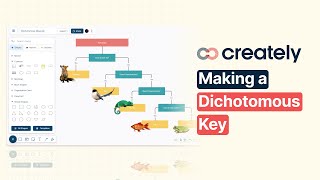 How to create a Dichotomous Key with Creately [upl. by Dranel771]