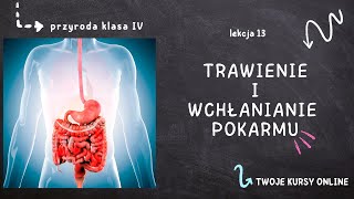 Przyroda klasa 4 Lekcja 13  Trawienie i wchłanianie pokarmu [upl. by Etnauj421]