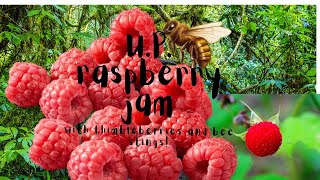 How to Make Raspberry Jam Canning Tutorial [upl. by Odom9]