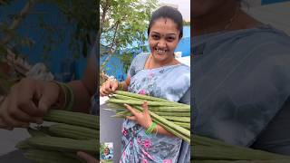 Ma Amma Cheti Vanta  Munakaya Pachadi Recipe shorts trending foodie [upl. by Ahsyek]