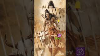 Mahamrityunjay mantra status video short mantra mahakal shiv bhole baba bhole nath [upl. by Yerg776]