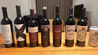 Melhores vinhos para se tomar e comprar na Argentina Buenos Aires custo benefício excelente [upl. by Otreblide]