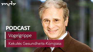 15 Vogelgrippe Ab wann für Menschen gefährlich  Podcast Kekulés GesundheitsKompass  MDR [upl. by Sidney324]