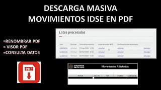 DESCARGA MASIVA DE MOVIMIENTOS IDSE DIRECTO EN PDF DESCARGA MASIVA RENOMBRAR Y VISOR PDF [upl. by Chavez832]