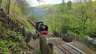 No8 quotLlewelynquot at Rheidol Falls on the Vale of Rheidol Railway 10524 [upl. by Atiuqam925]