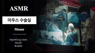 마우스 ASMR ｜한서준의 뇌이식 수술실｜ hospital operating room ASMR｜surgery ASMR [upl. by Salomie]