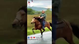 विदेशी घोड़े की सिंधी चाल 🏇 horseriding horselover sindhihorse animal horse horseshorts [upl. by Ailahtan]