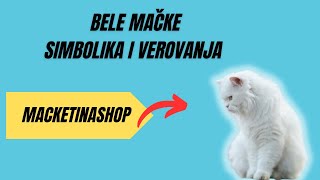 Bele mačke  Simbolika i verovanja [upl. by Lenad]