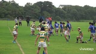 Jordan Chapman 1st XV Rugby 2022 Highlights St Patricks College Wellington [upl. by Ahsie]