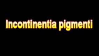 What Is The Definition Of Incontinentia pigmenti Medical School Terminology Dictionary [upl. by Joelynn]