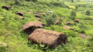 living for very Hard Nepali mountain Village  peaceful And Relaxing Rainy Day  TheVillageNepal [upl. by Farnham557]