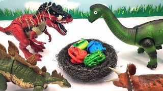 5 Dinosaur Laying Eggs Hatching Jurassic World Dinosaur Eggs TRex Stegosaurus Brachiosaurus [upl. by Icam]