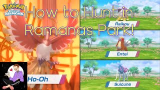 HOW TO SHINY HUNT IN RAMANAS PARK All the Legendaries Pokemon BDSP [upl. by Rimat]