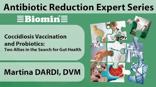 Coccidiosis Vaccination and Probiotics  Martina Dardi  Antibiotic Reduction Expert Series Part 2 [upl. by Etezzil]