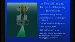 Phytoplankton in the Ocean  Perspectives on Ocean Science [upl. by Hailed272]