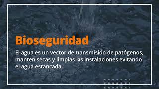 INTERVENCION BIOSEGURIDAD [upl. by Tait]