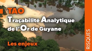 TAO Traçabilité analytique de l’or de Guyane  Les enjeux [upl. by Bourne]