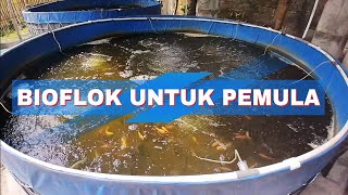 Budidaya Ikan Nila Metode Bioflok untuk Pemula [upl. by Eelrebmik720]