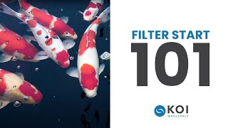 Filter Start 101 How to Use it for a Healthy and Clean Koi Pond [upl. by Inad14]