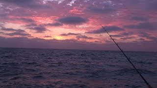 Excel SportFishing 8 Day Trip [upl. by Oshinski271]