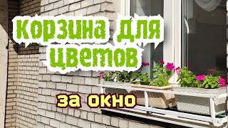 Корзина для цветов Цветы за окном [upl. by Etnoid]