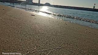 Peaceful Sunny Morning Sea  Relaxing Beach Waves Sea Video  SleepRelaxationStudyMeditation [upl. by Oluas]