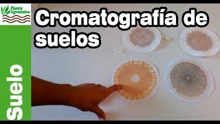 TALLER de ELABORACIÓN de 👨🏻‍🔬👩🏻‍🔬 CROMATOGRAFÍA de 🌱 SUELO de Pfeiffer [upl. by Eward]