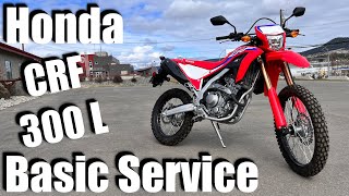 Honda CRF 300 L Oil Change amp Basic Service  How To StepByStep Guide [upl. by Notlok141]