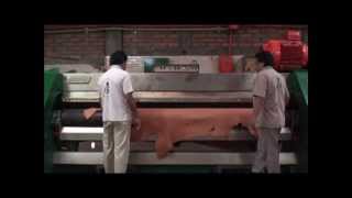 Leather Tanning ProcessChahin Tannery for Weaver Leather [upl. by Reisman59]