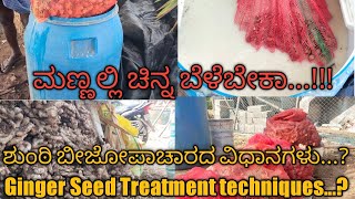 Ginger rhizomeseed treatment techniquesಶುಂಠಿಯಲ್ಲಿ ಬೀಜೋಪಾಚಾರ ವಿಧಾನಗಳು ginger agriculture [upl. by Nalorac]