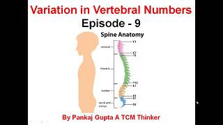 Sacralization and Lumbarization of the Spine Know Your Spine Episode  9 [upl. by Edras]