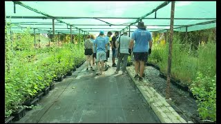 12 Voluntariat ecològic  Renaturalització del Barranc de Beniopa Sant Nicolau [upl. by Hameean]