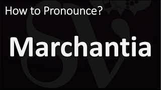 How to Pronounce Marchantia CORRECTLY [upl. by Odracir524]