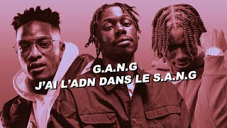 Tiakola  GANG feat Niska amp La Mano 19 Paroles [upl. by Eseila]