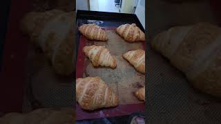 Mini croissant croissant croissantsandwich croissantrecipe minicroissant morningbreakfast [upl. by Rhodie]