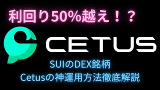 利回り50％越え！？Cetusの神運用、xCetusステーキング徹底解説！ [upl. by Legge]